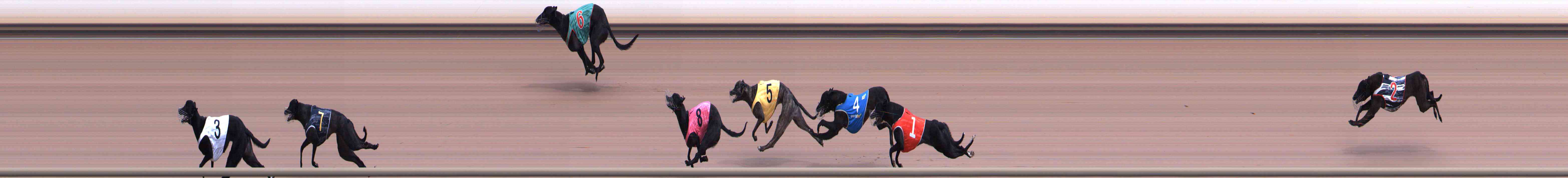 Race result finish photo